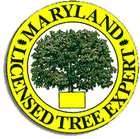 Maryland Licensed Tree Expert