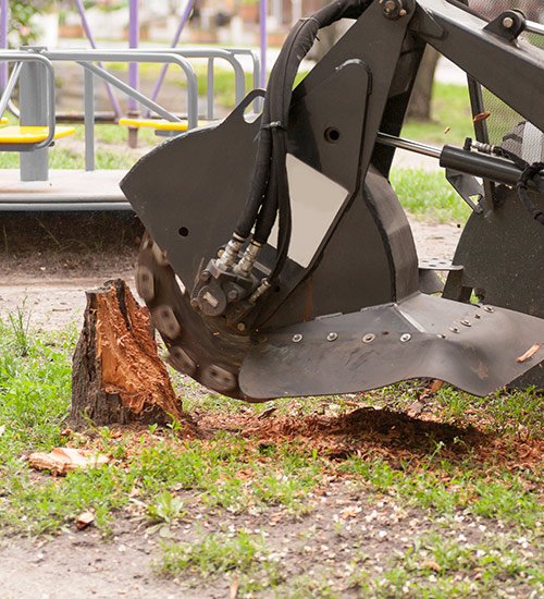 Stump grinder in action